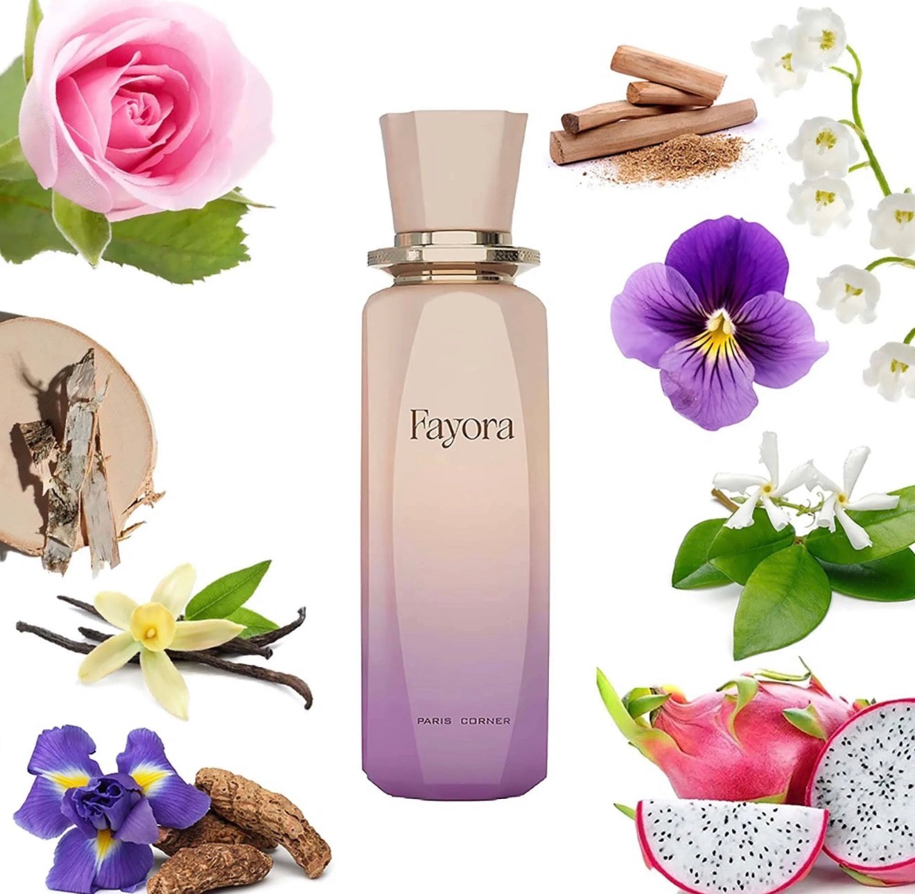 Paris Corner- Fayora